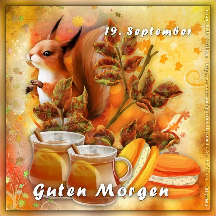 550101346_1558239155540721_205534073551344705_n (2)