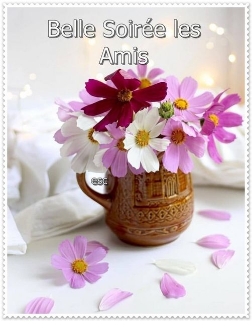 550356635_1235627138599586_2127697902505893700_n