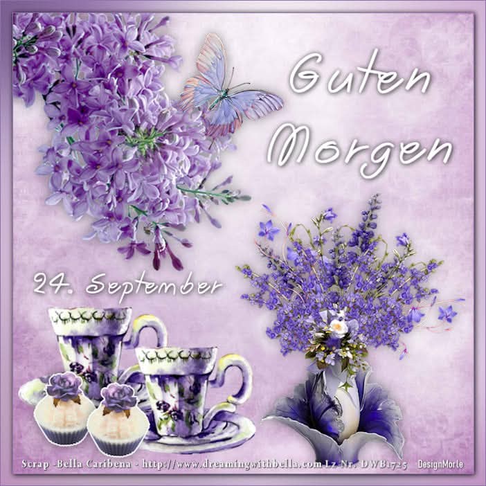 550737921_1562706985093938_623261818334374841_n