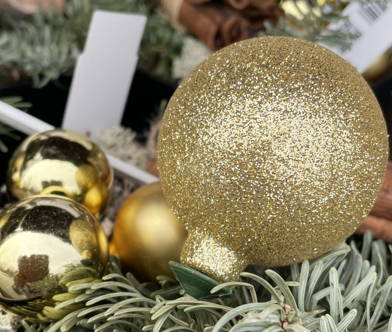 550D6710-37B3-41F7-8A12-03D4E6CBDB83