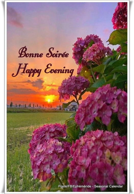 552835573_1241756607986639_3154594723611230840_n