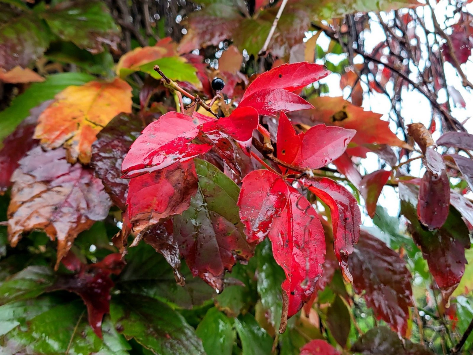 554096678_813067907860780_6489286921733201734_n