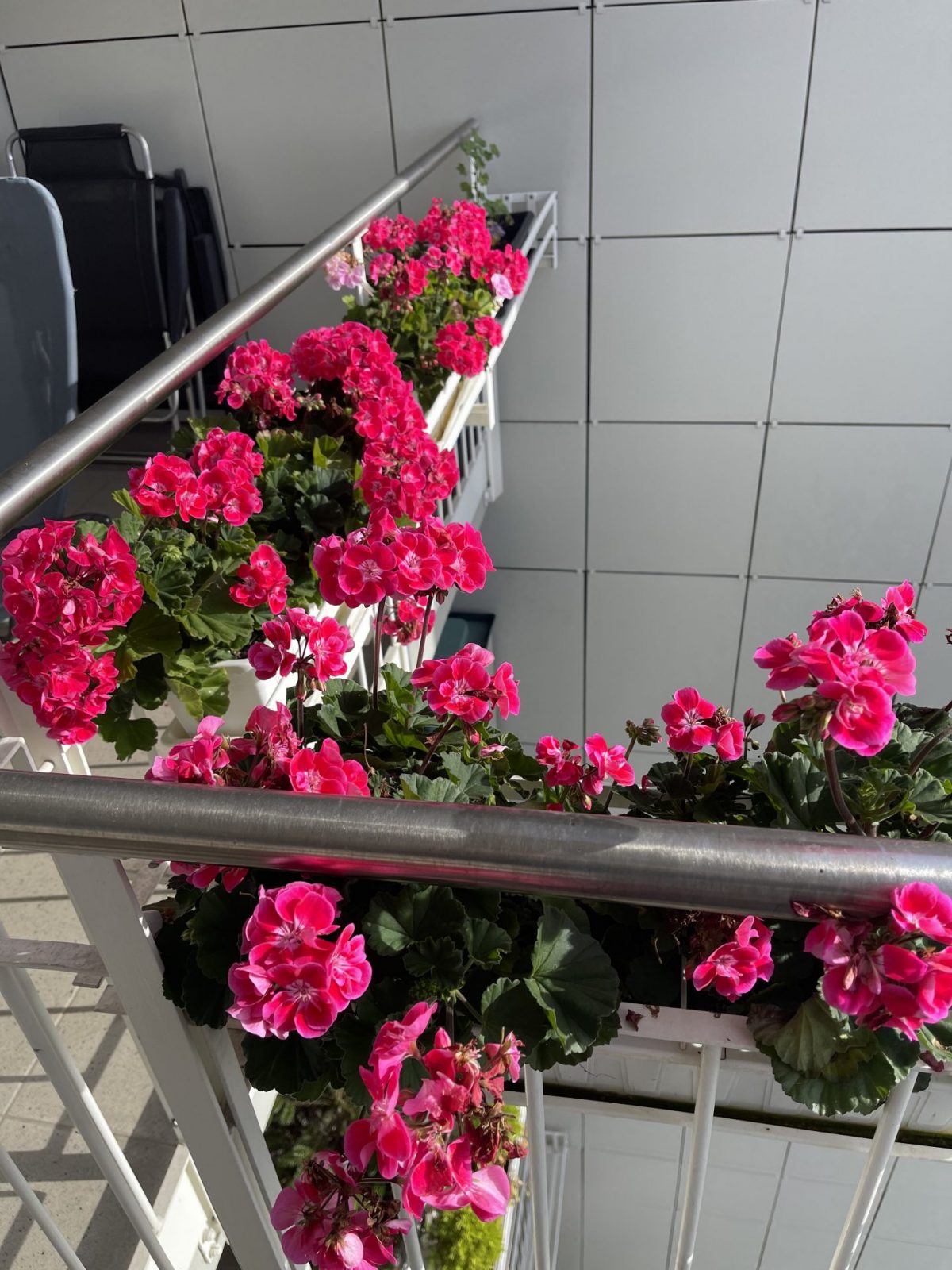 554DA96E-7CE1-464E-AC71-4E02DF16C142