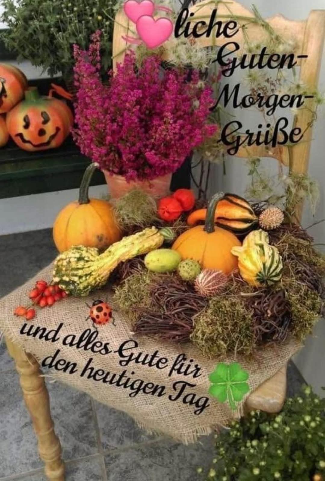 555053024_1559475105490320_8677548910974950786_n