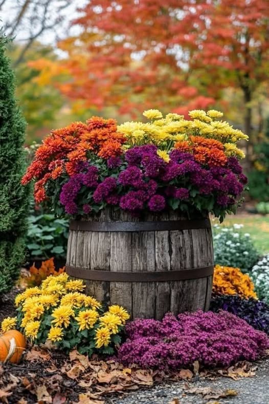 555351595_1558192898950284_8456369379836642077_n