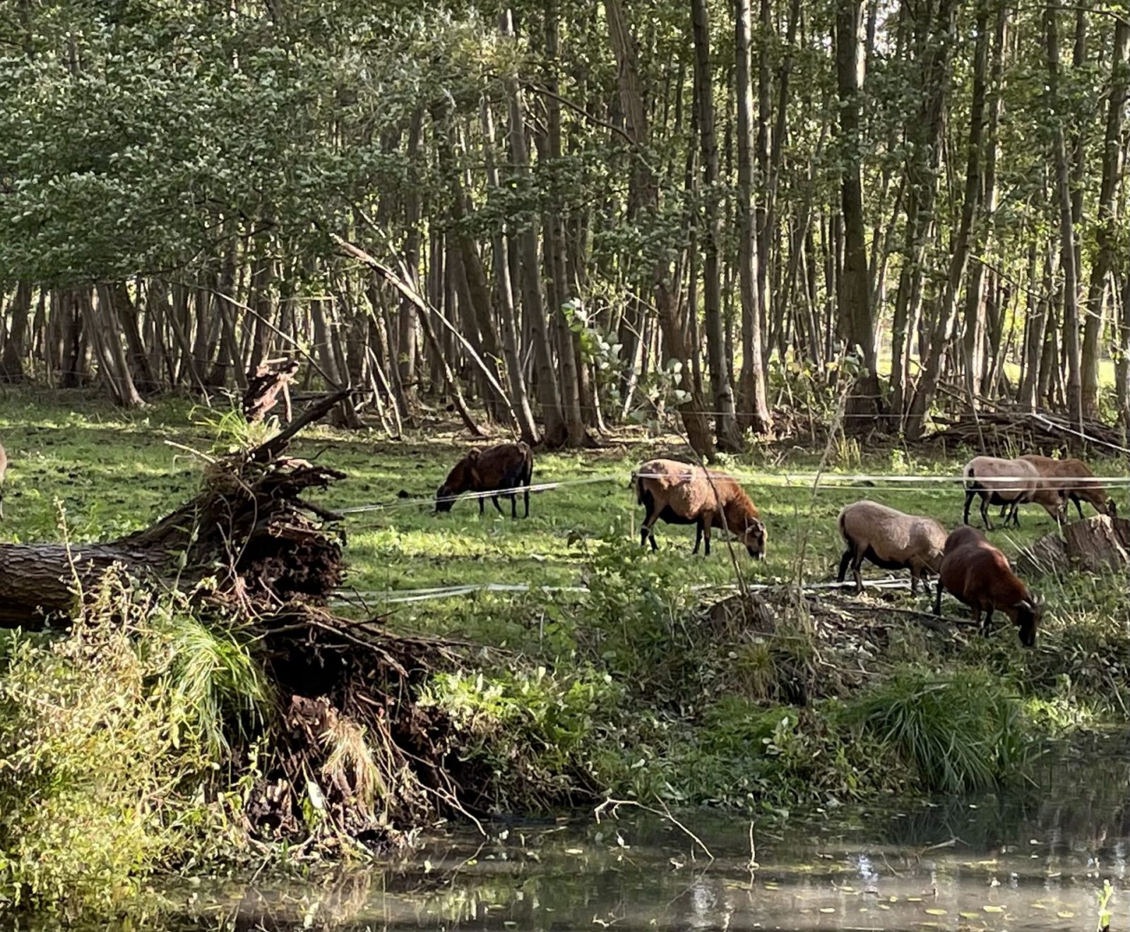 55882B2F-8FF6-4F01-9857-79BC90670794