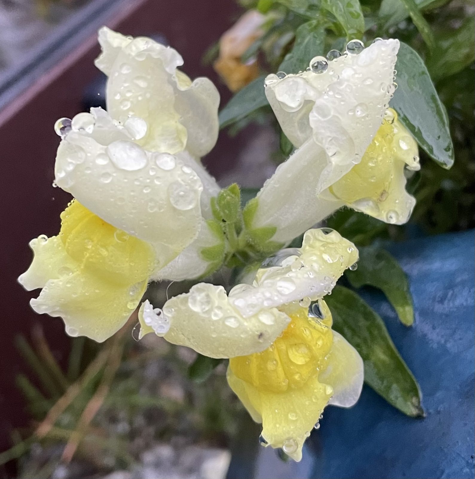 5595DBCD-777A-4309-82E0-94DC38AFBEB4