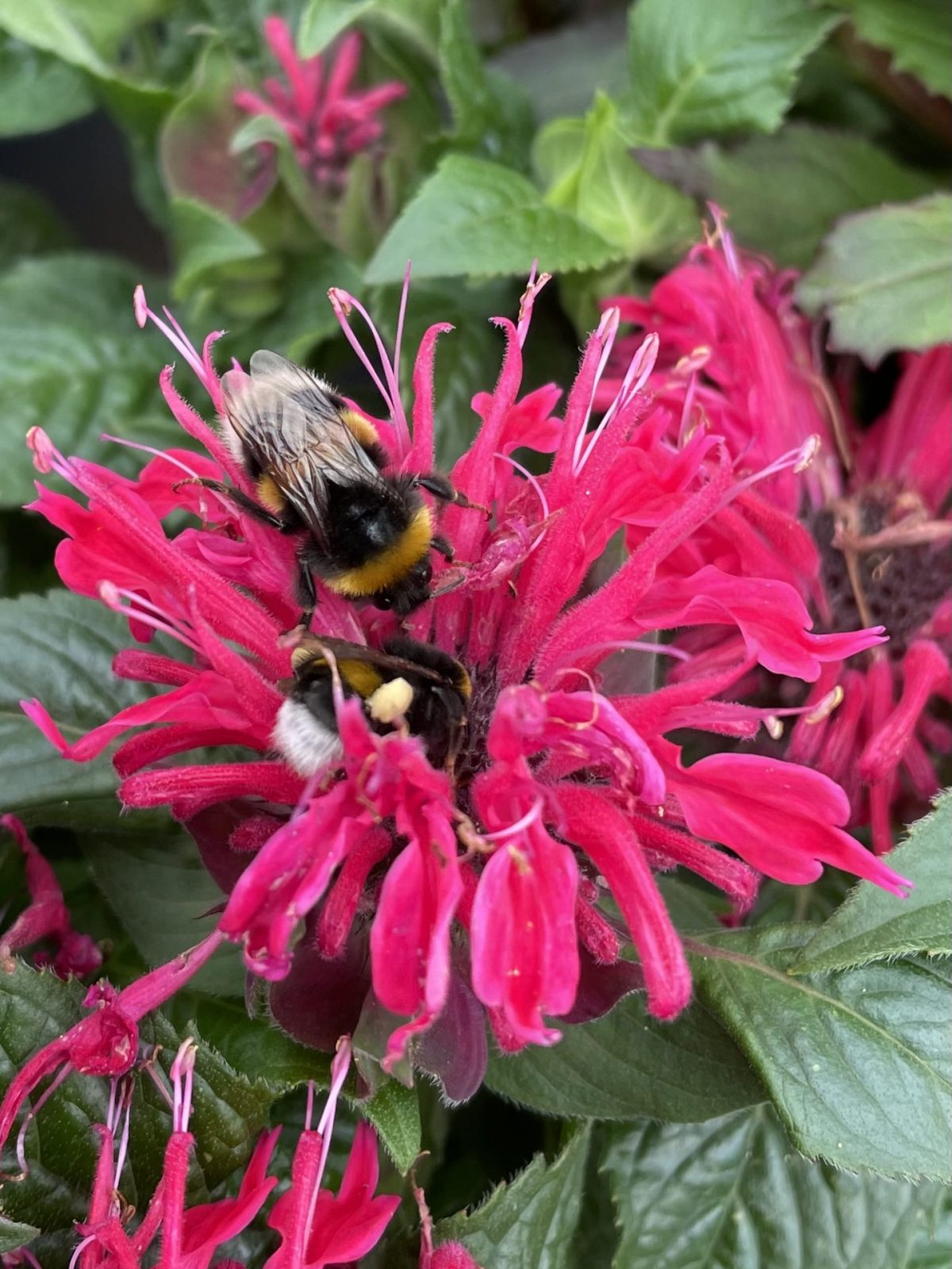 55DF3780-0EB2-4F41-A420-989EE0F45DE5