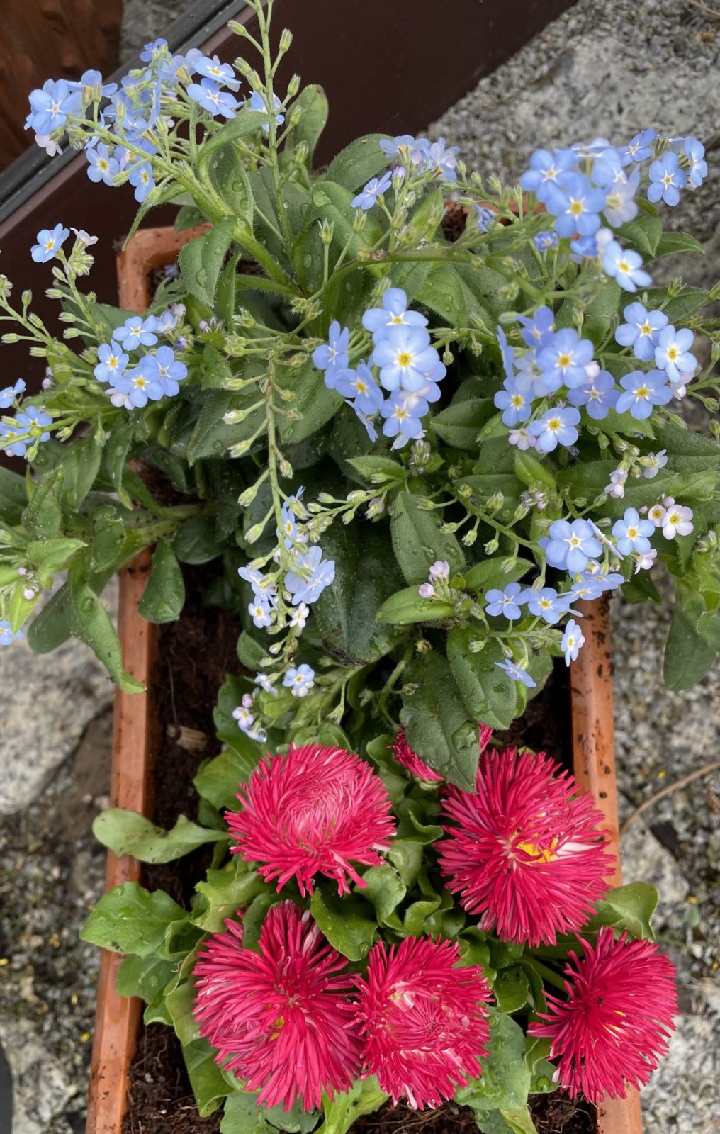 5620FA73-6416-41B4-BC90-DB88C2C477DC