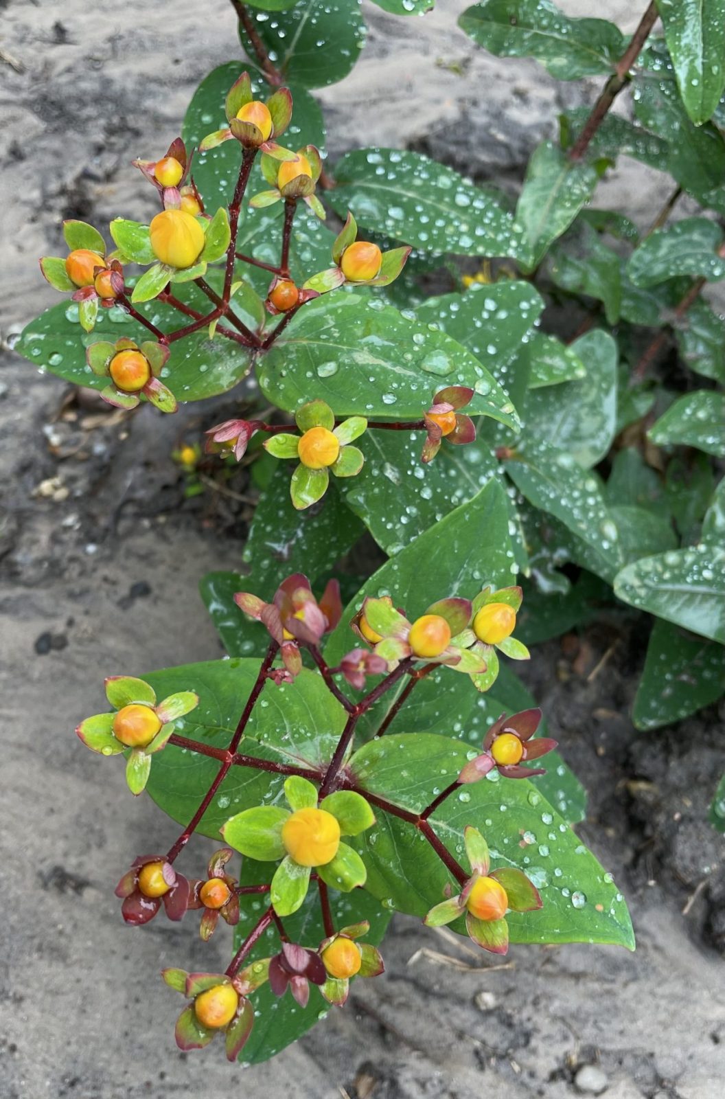 5636C26C-084F-4BEB-BD8A-86CE6512B8FD