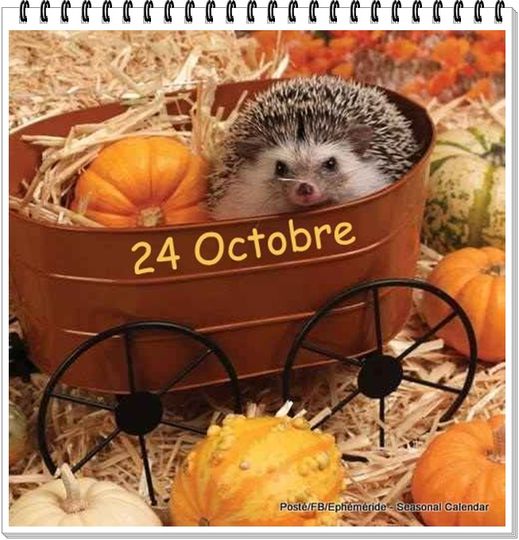 569119302_1268376181991348_3203116050965978917_n