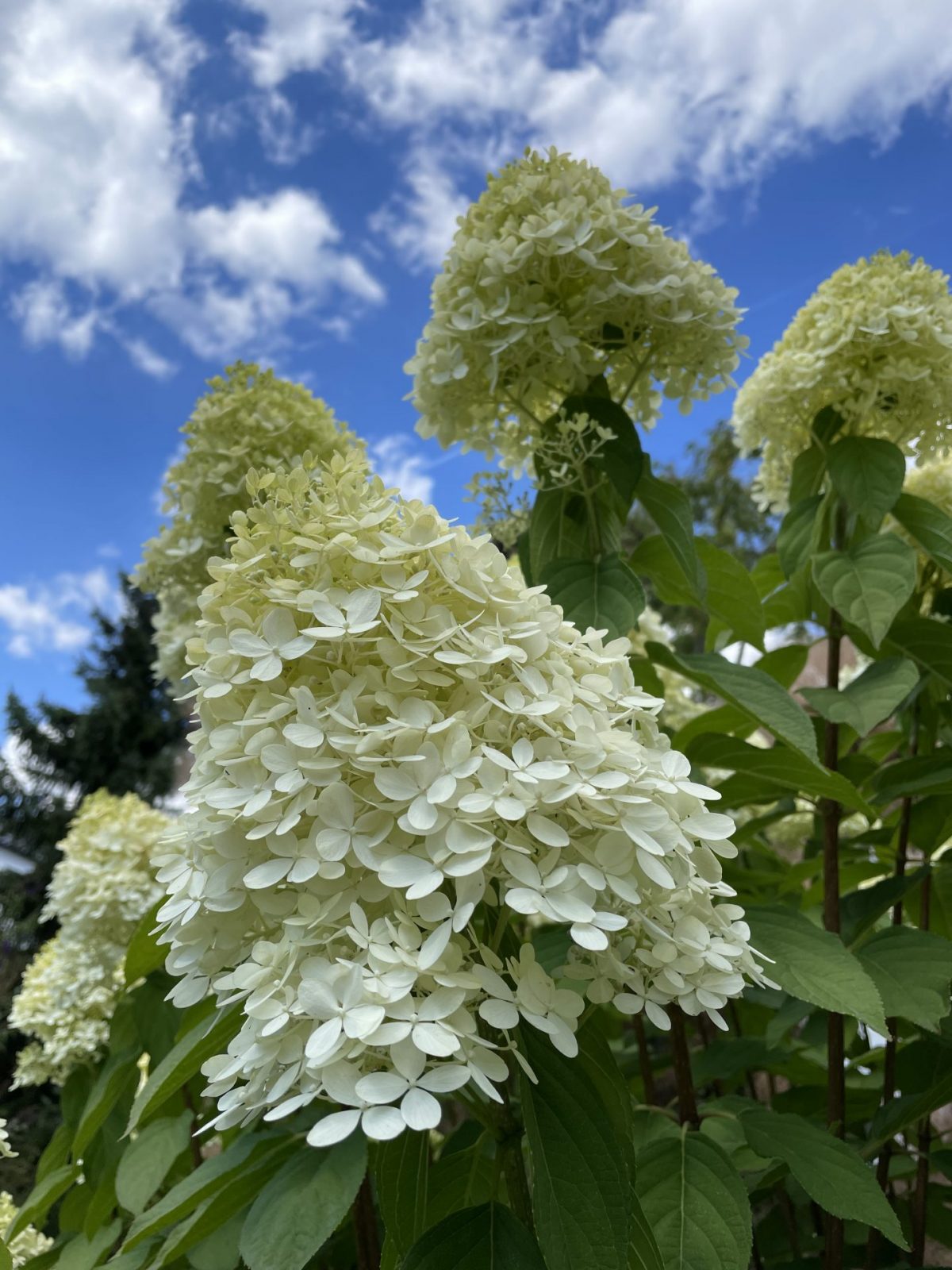 56FE52D9-D7D0-4BEB-AAE0-329949092F6F