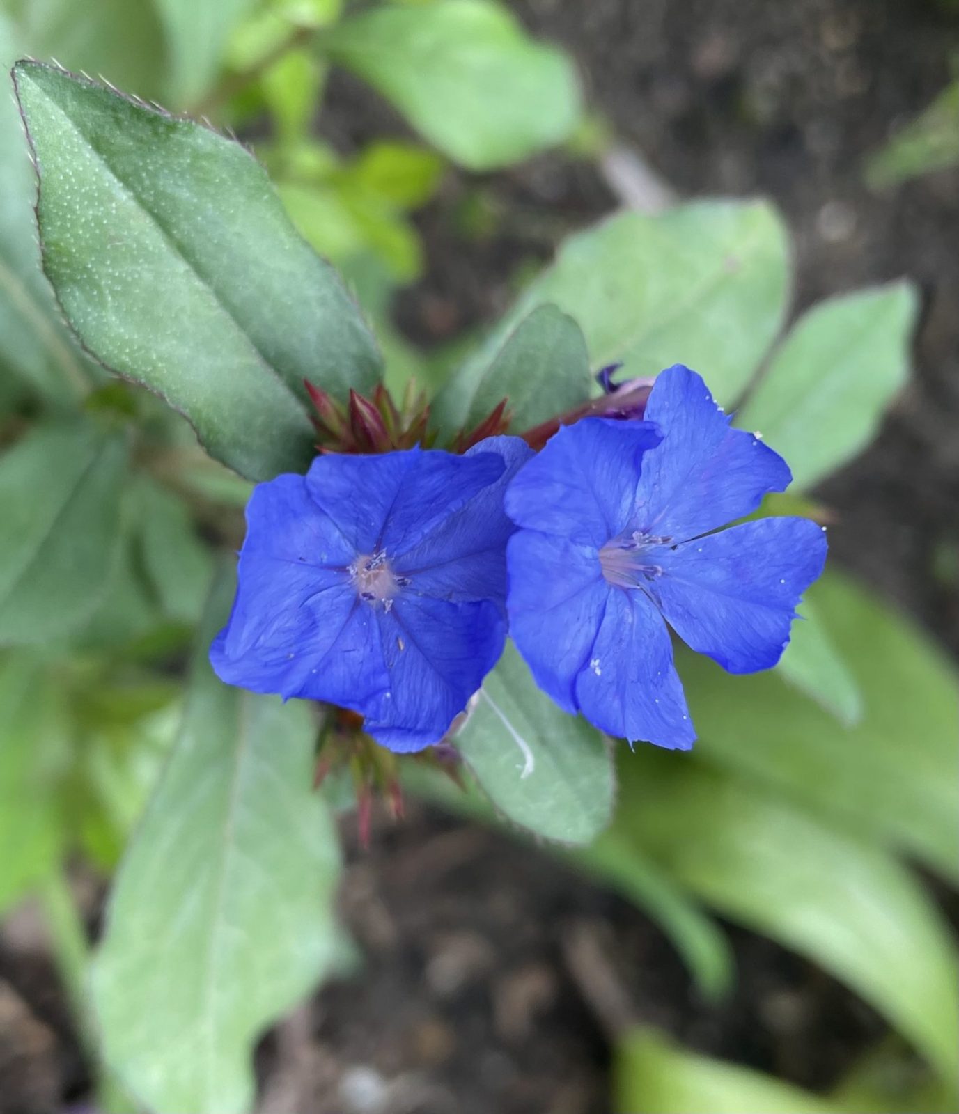 5768AE4D-CB81-4109-AB52-0351A05CC2A8