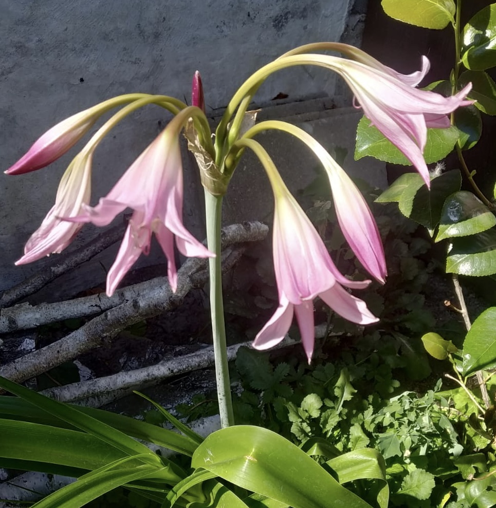 5774C03E-D23E-49F5-8BD8-CBC5BEB98E86