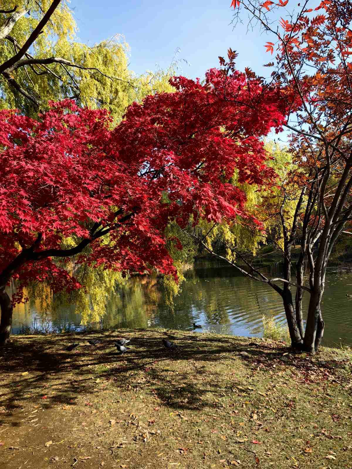 578075498_25613751254897443_1216700684921771217_n