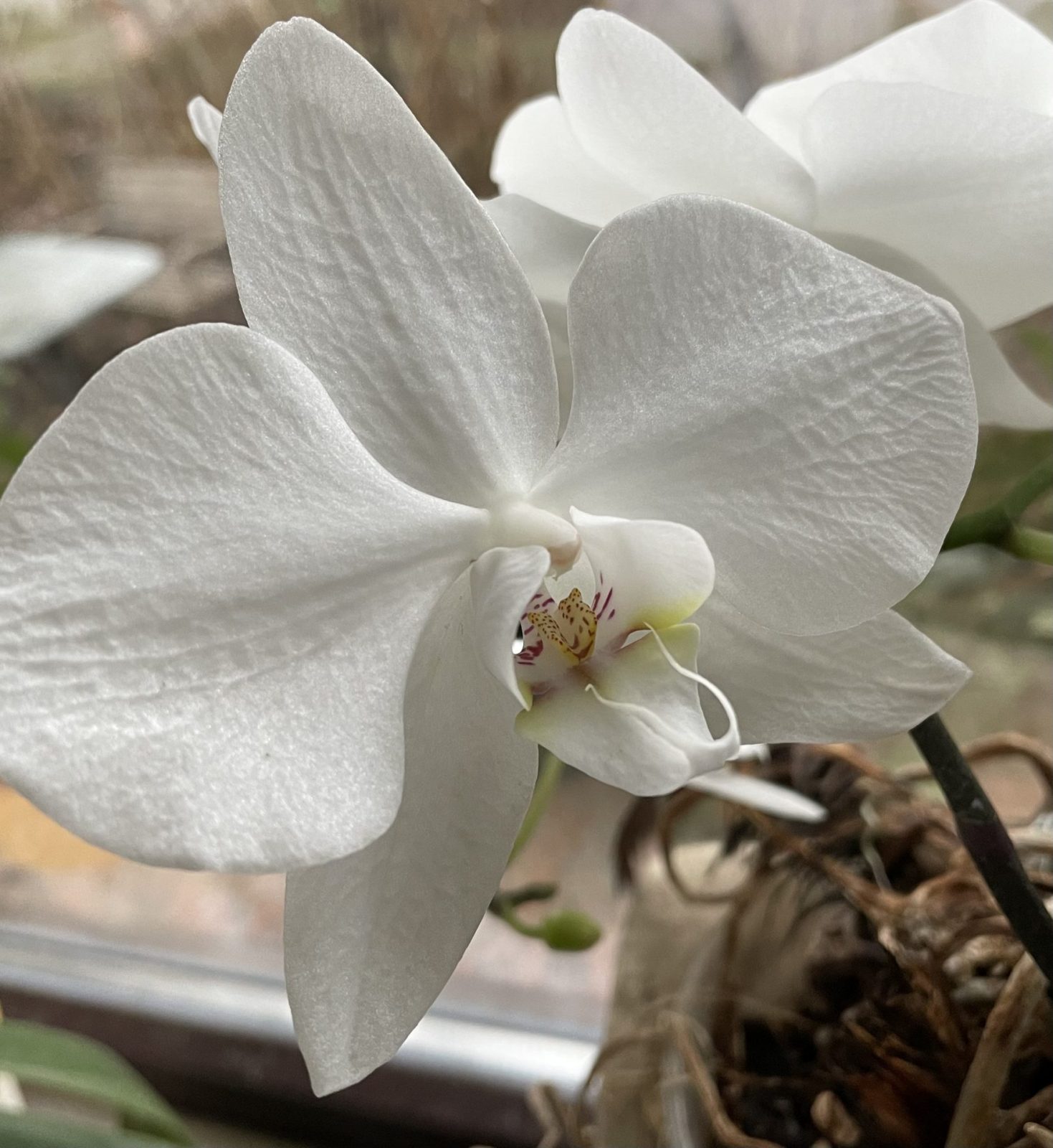 5784C3BD-FE89-4EC3-ACAE-956AECE7011F