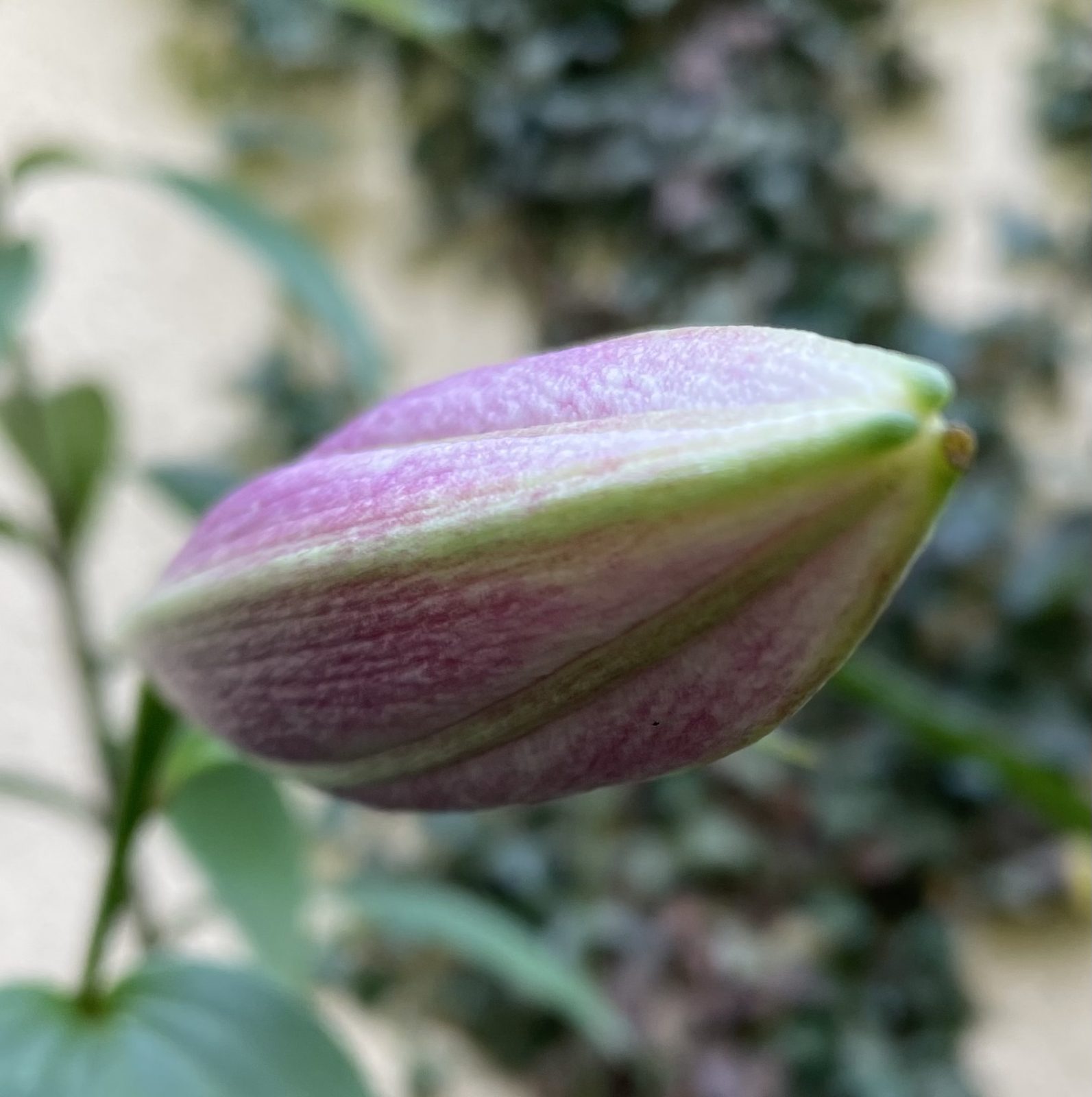 57DBDAD1-36A9-4921-98A4-1A2DE1B9C4AB