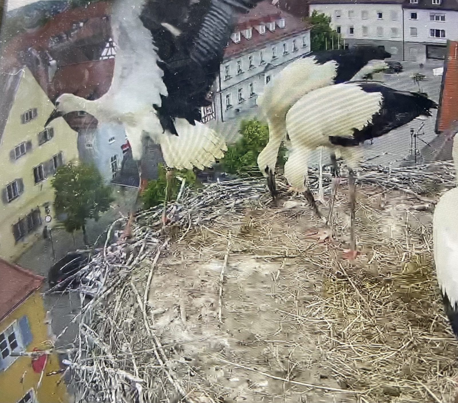 581E36CF-704D-44A4-B7C7-B172C36D46C3