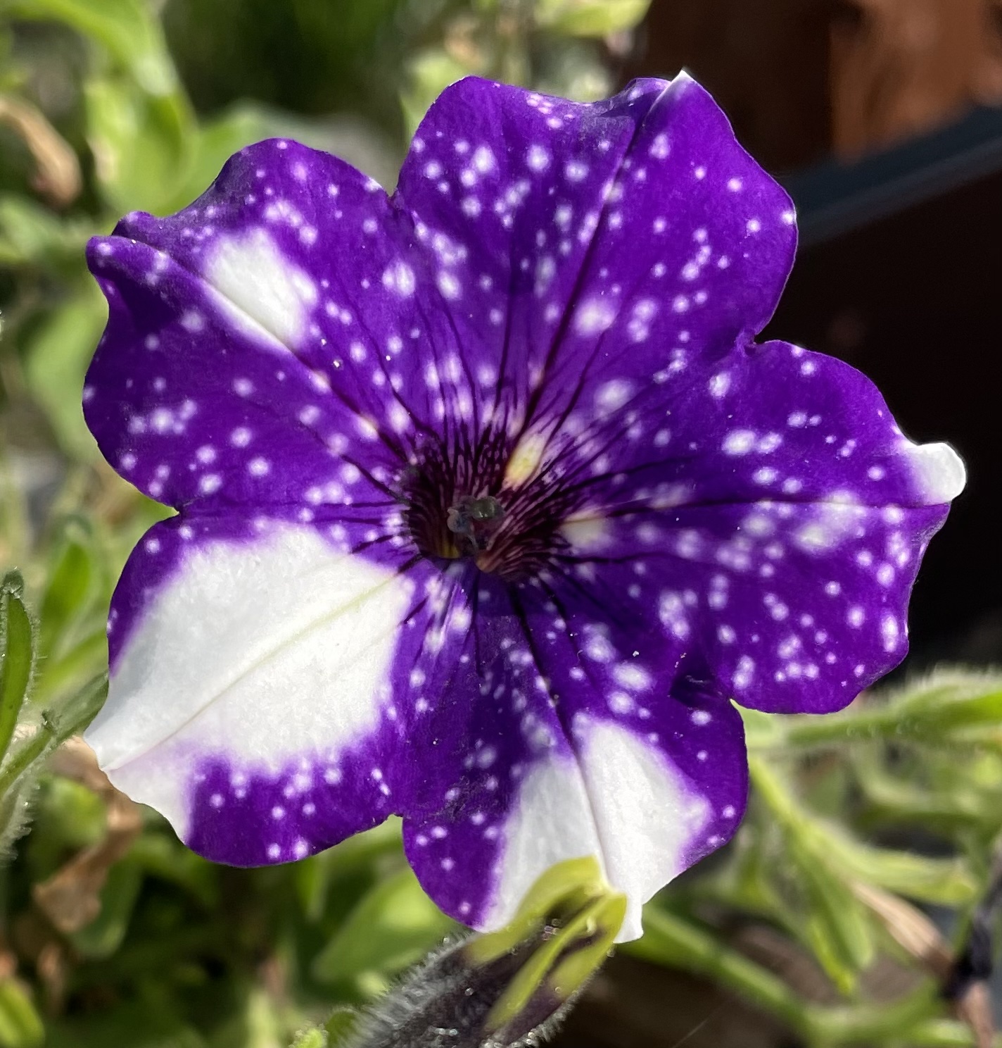 58277902-1BF4-4B1A-895B-E919C931D27E