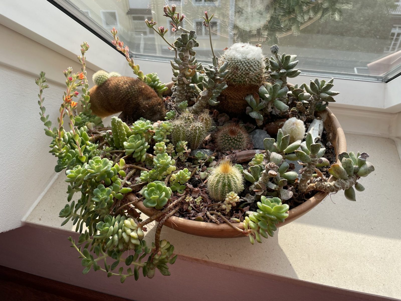 5875237B-FCC1-45E3-B62B-954D832B5C23