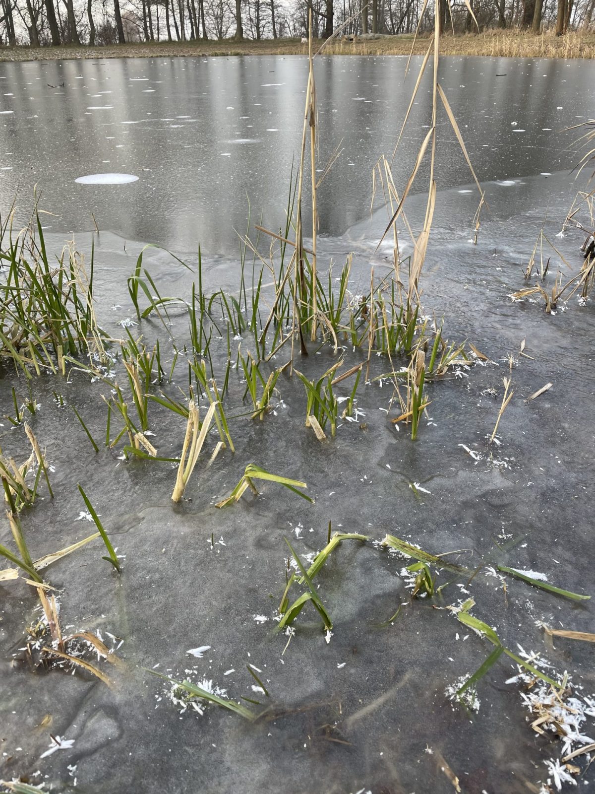 5883C2A3-3228-4F0B-810F-BAD5AF907A79