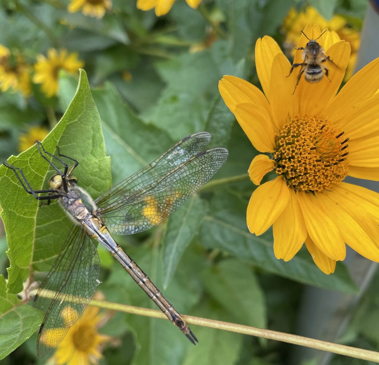 58B4F315-6BB9-47F0-8F42-6E6D57D9DB7D