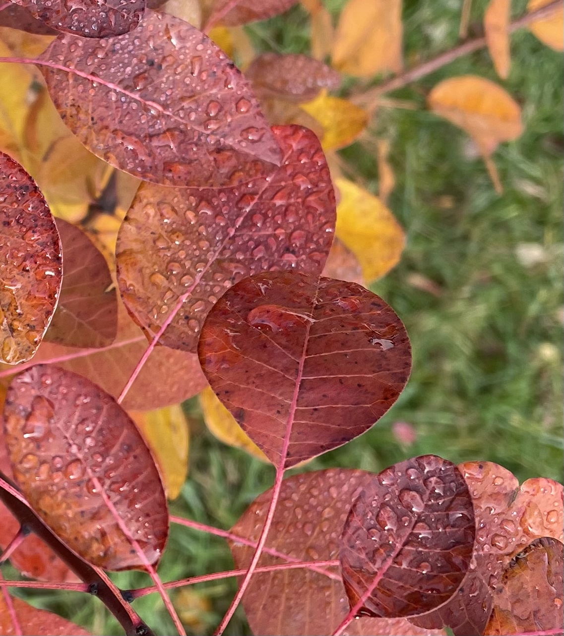 58C4DF72-1CE3-41FF-AFA0-E2D866AD83F1