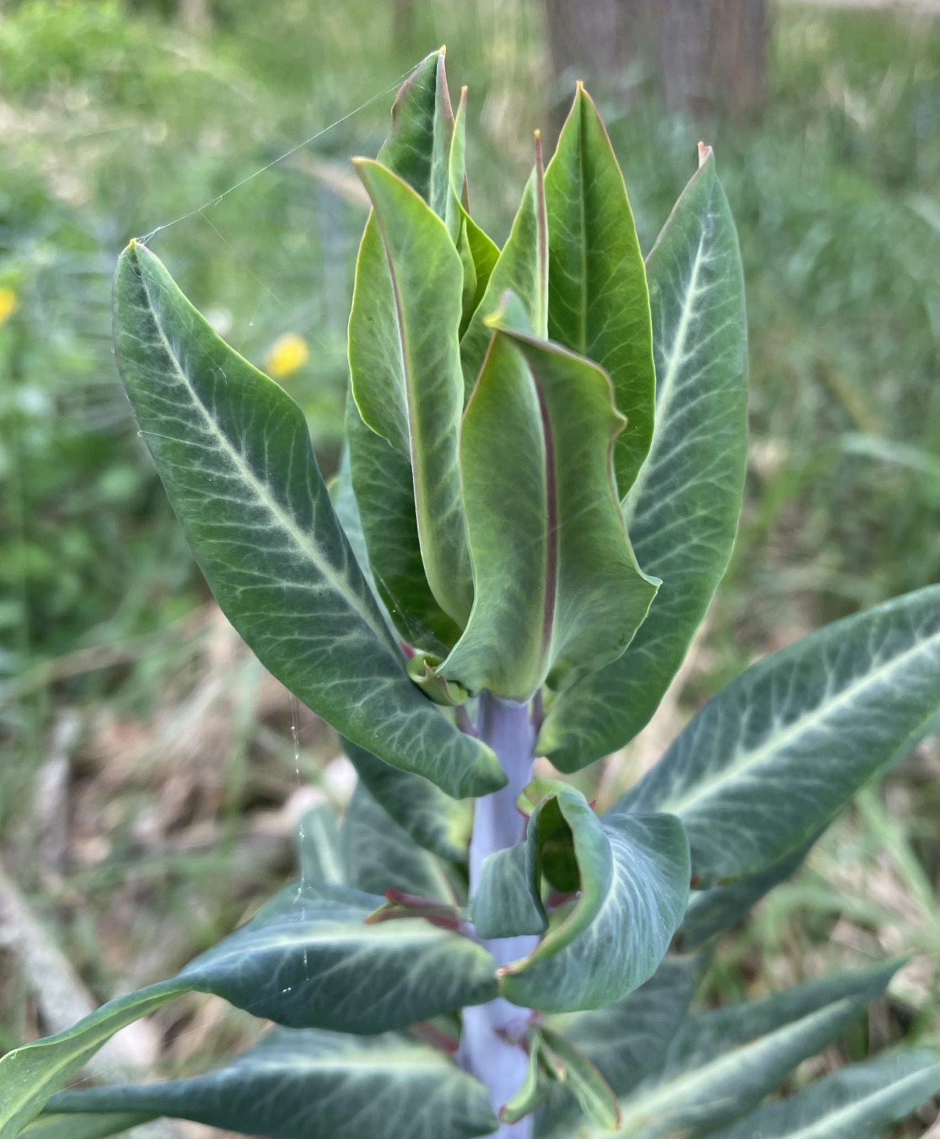 58ECB0F2-D328-4EEC-8E17-DABE7B56FFEC