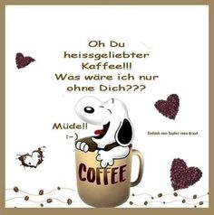 58ce12c96cc9bcfa0246cea6a55051e5