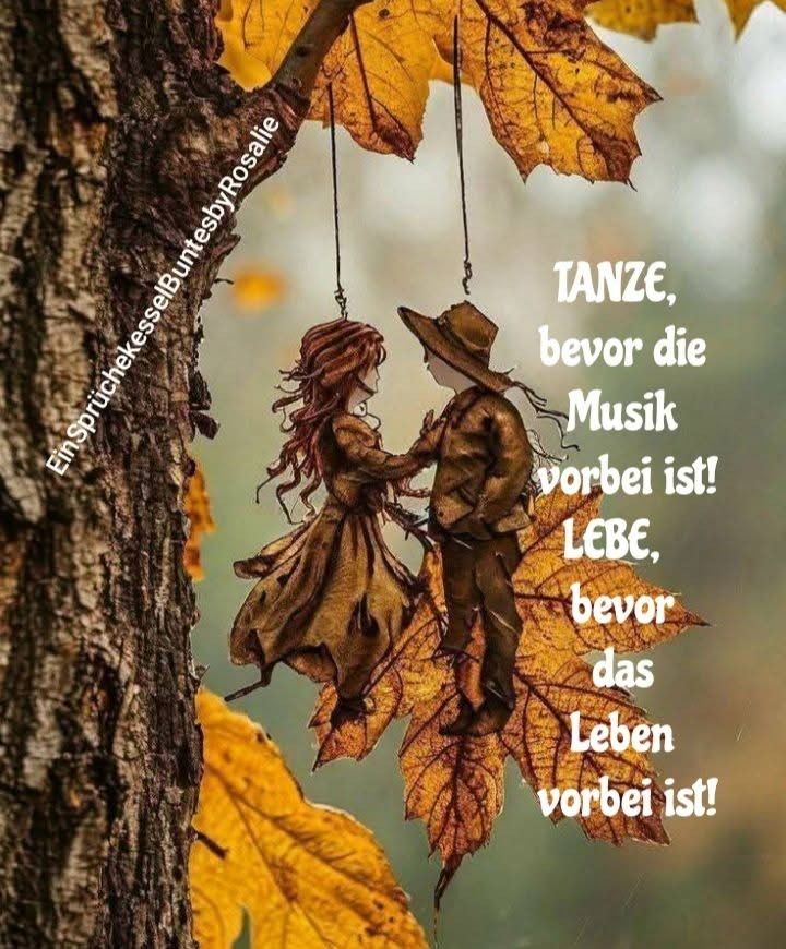 58e94392eaba96a9242ba2ef4a8ba8b2