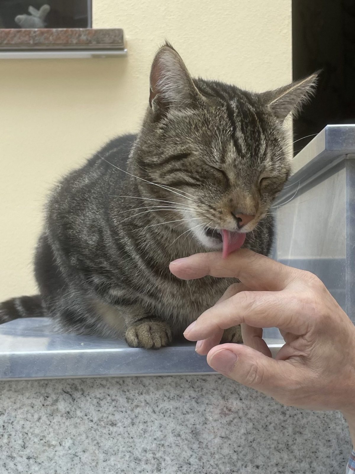 591D67DF-BD5E-46A7-91EA-ED3DEC196A1F