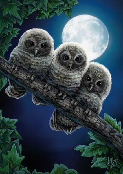 5930cdffc12181d499d2caf6a9e798ec