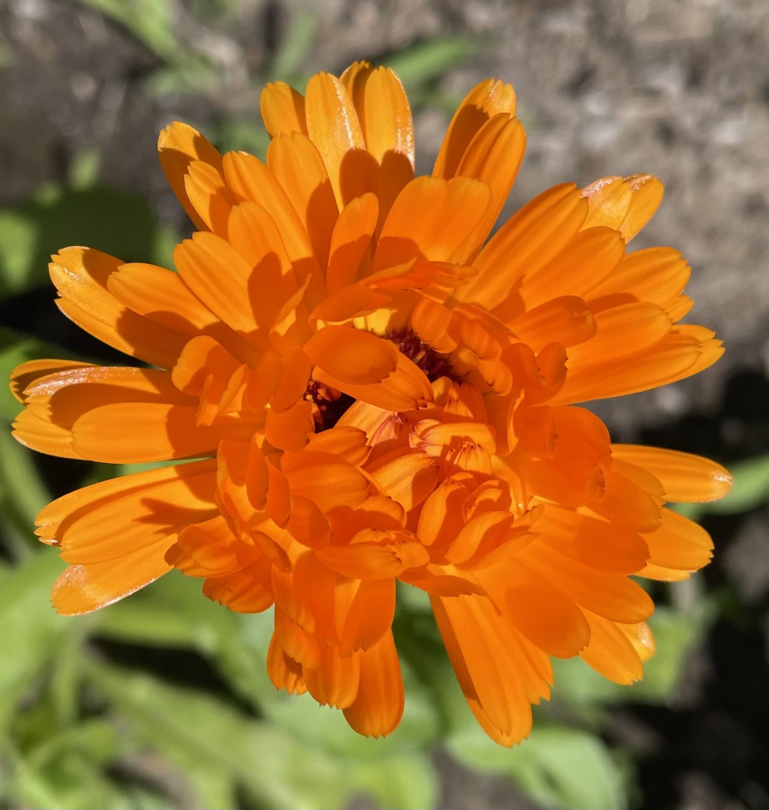 59B2BF90-AABE-48FE-91EE-10A242E69343