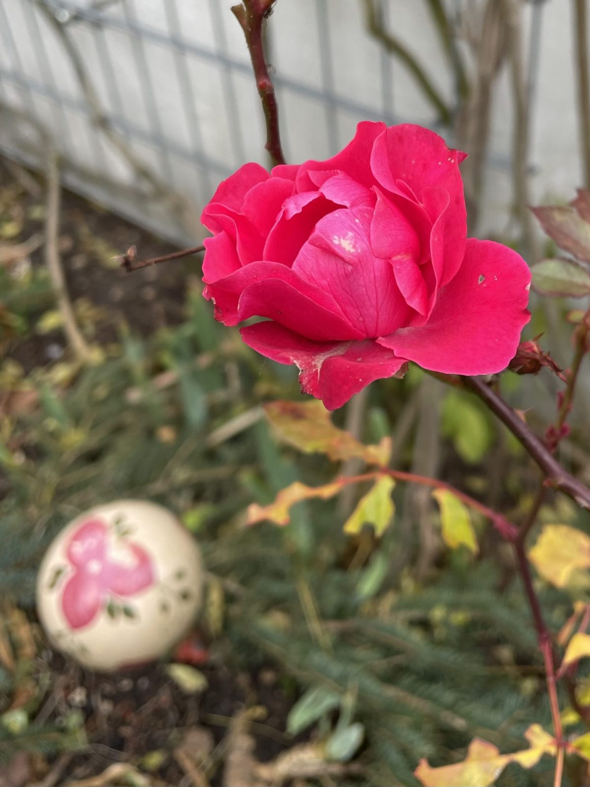 59ECE62B-AEFB-4B50-B3DF-32CFC0262D08