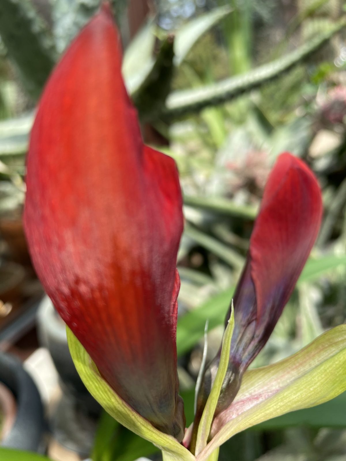 5A456541-6C20-40F6-AADD-01A5EE487327