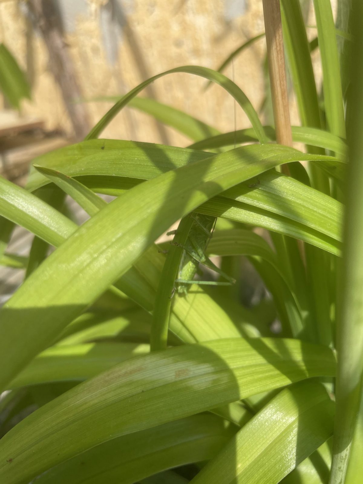 5A4ADDCE-68E3-4780-8130-A9DDC367EE85