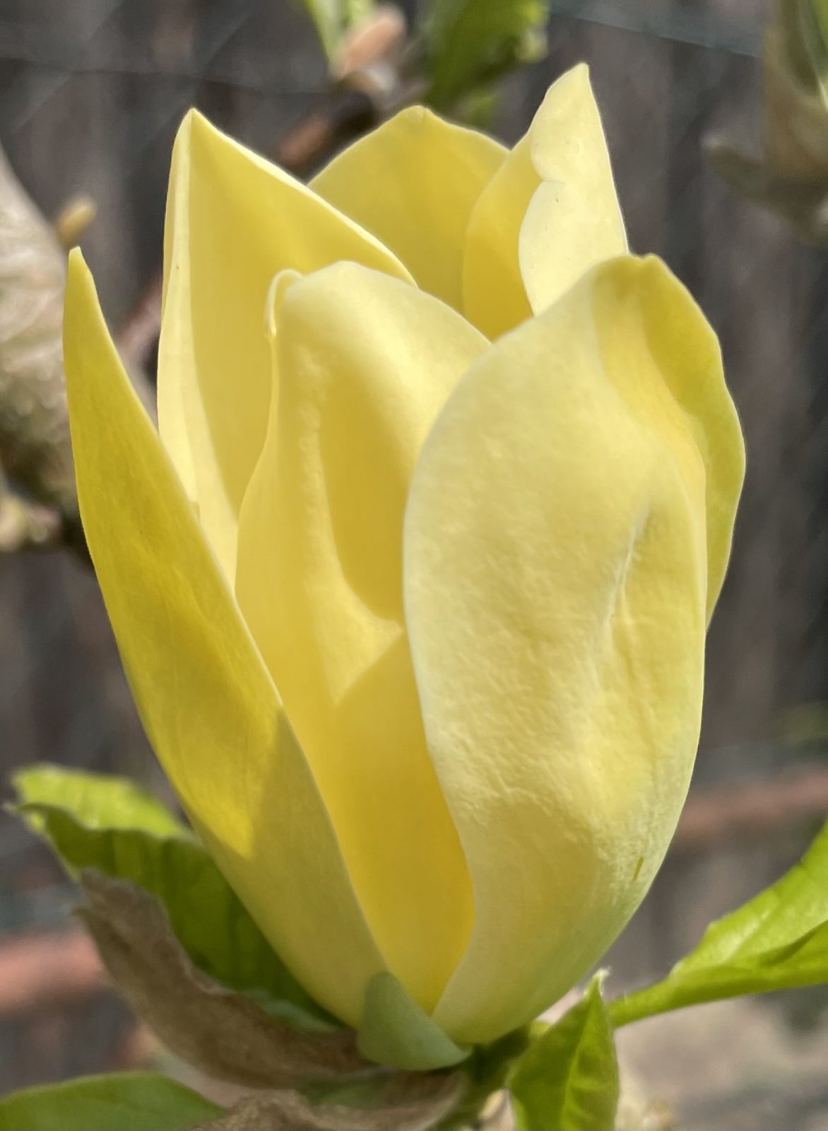 5A4F1F66-5303-48F4-A2B6-71CF8F92B5B6