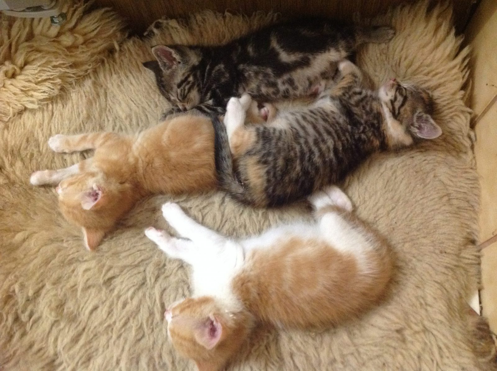 5A578709-105A-4C87-829A-3903D66E81EC