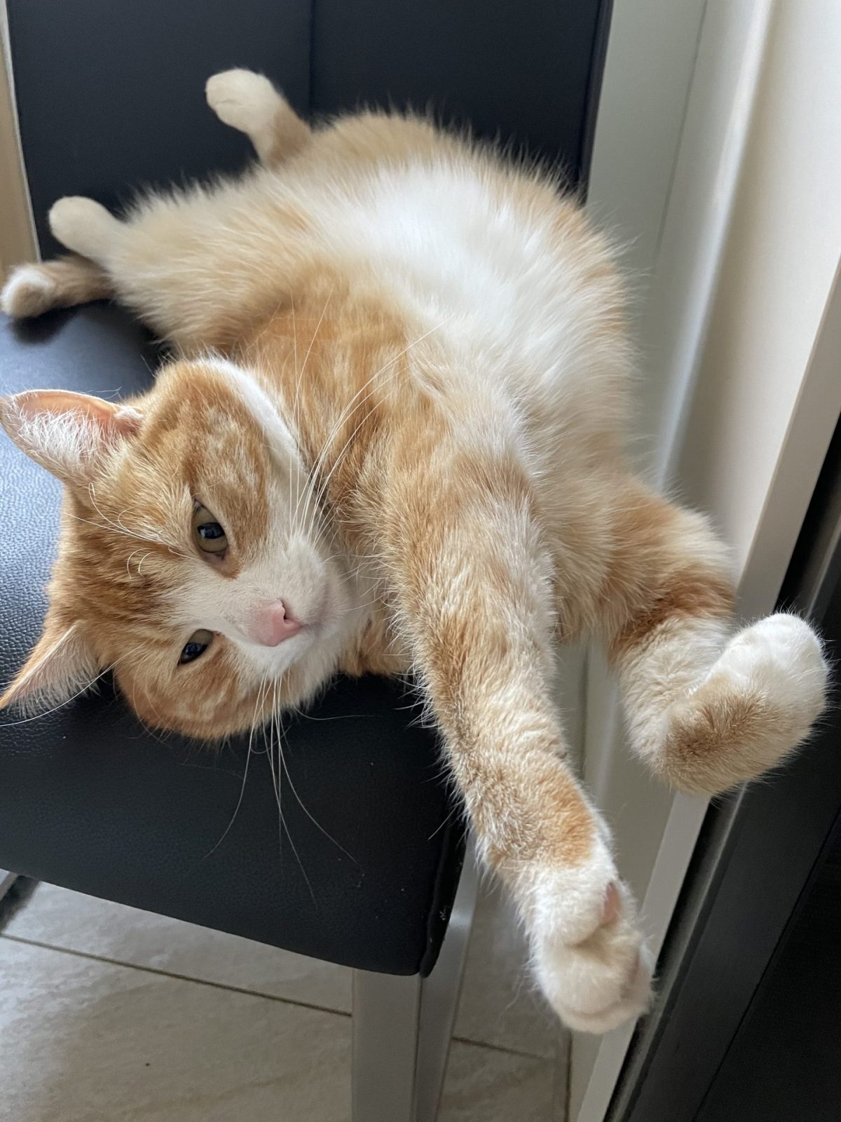 5A6A13C4-AD44-42F5-B903-C86180C278AC