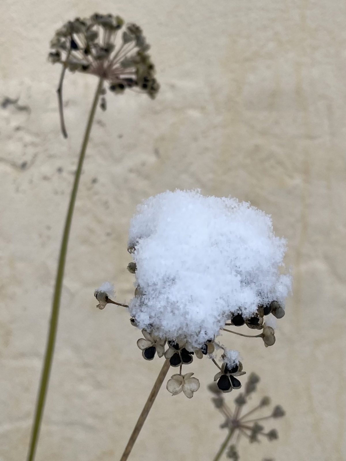 5A8A31BE-24DB-43E6-94F2-F304BD8DB7C6