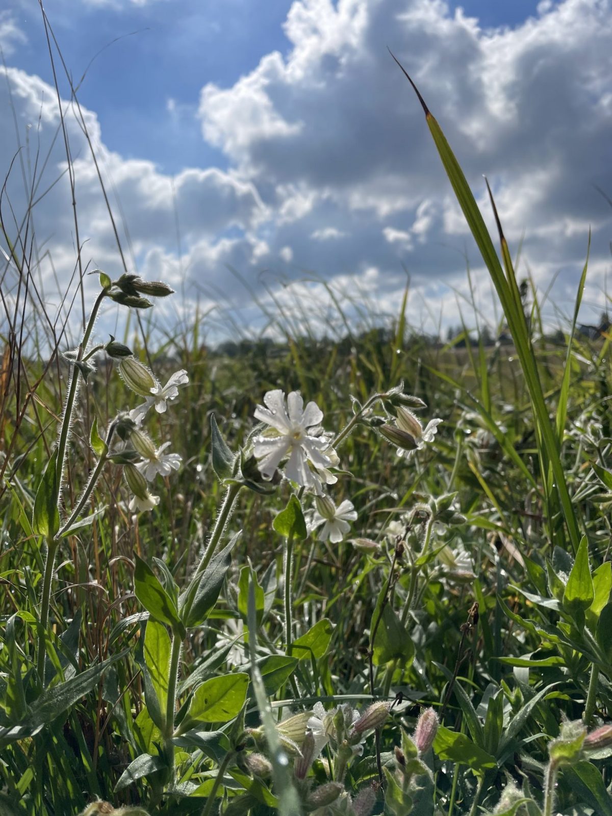 5AC8249E-2A44-4409-801C-1731B10A04DC