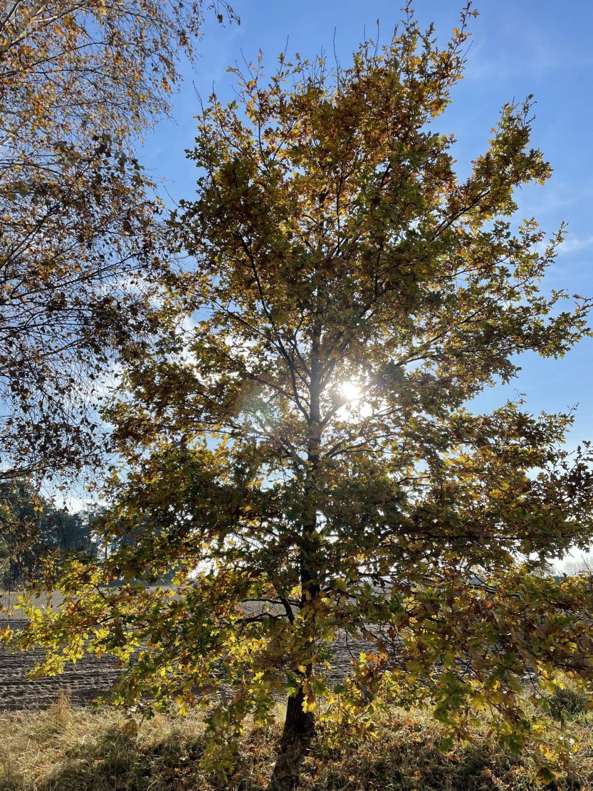 5B348081-E5A7-4D76-9E7F-DC862A1D3149