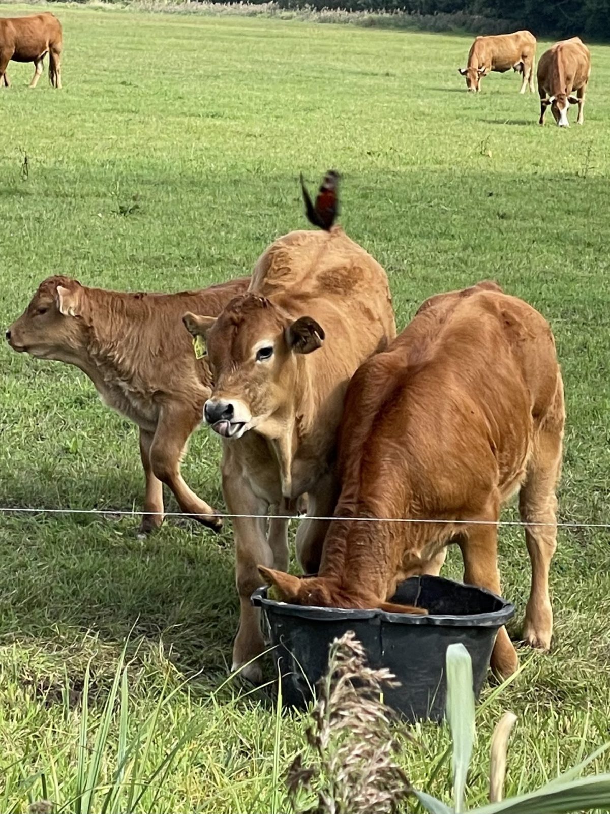 5B36EA45-A90D-48B3-B576-5259B57BD5F1