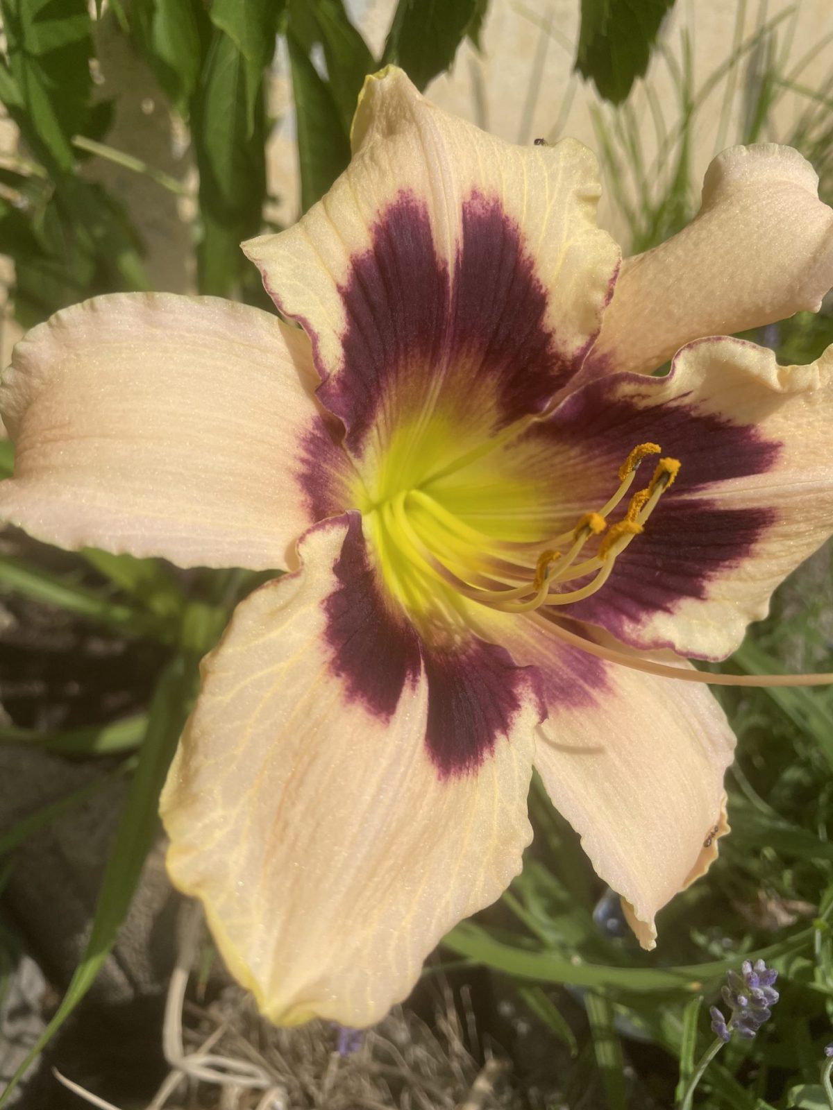 5B3F1874-5677-48DF-B04B-0066AD0CE1E2