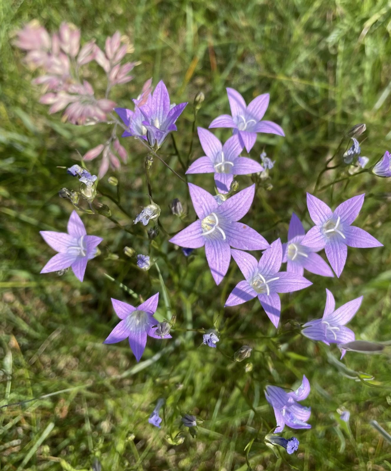 5B78680C-9546-4300-ABDD-5B7403F86DBE