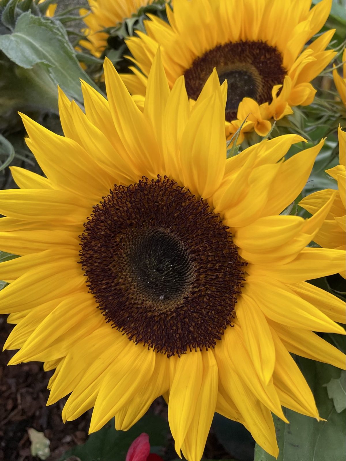 5BD6D2D7-927B-4CC4-8B00-008AC1B41545