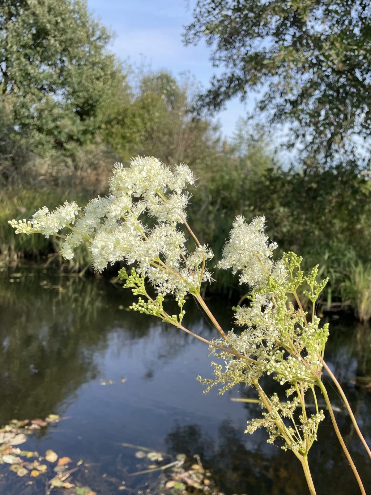 5C5707FA-DABC-4679-B204-20707F24C907