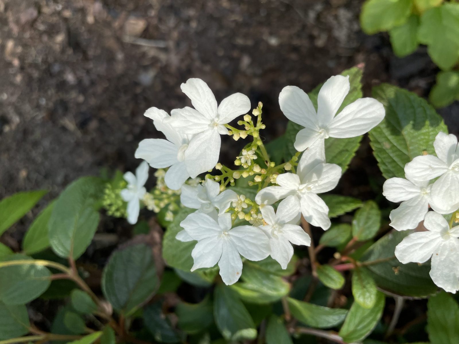 5C7FF85A-F091-434A-B8DC-D00729D9612C