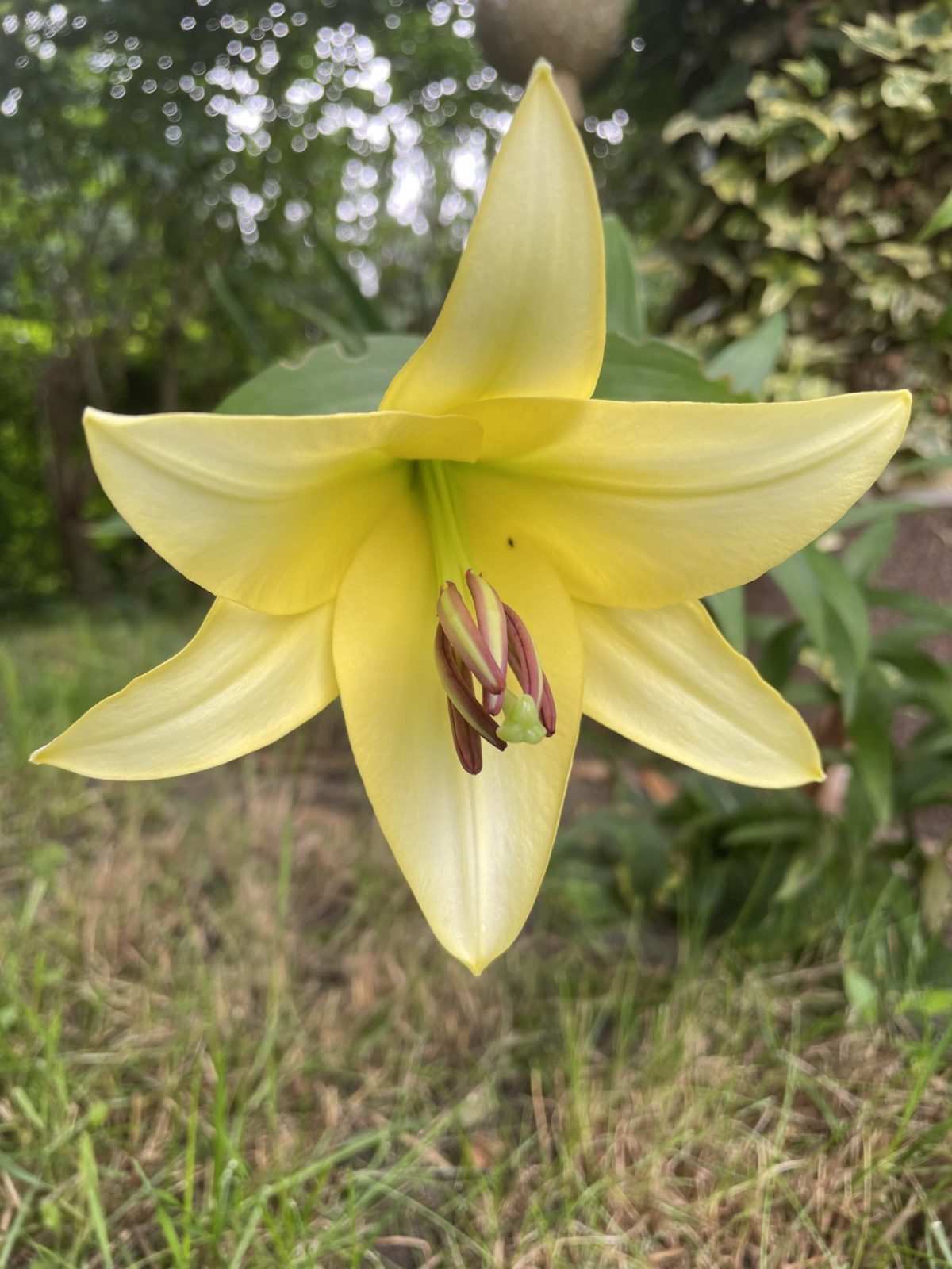 5C953B88-105D-4904-82B5-8CE7EDBAAA9F