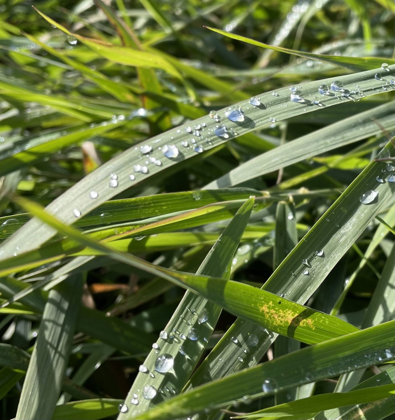 5CAEDC14-6C19-41E5-884C-FB040BE5C6F1